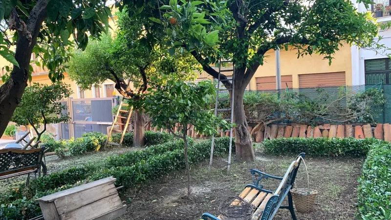 Giardino con alberi di arance e panchine in ferro battuto