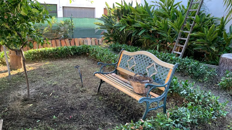 Panchina tra le siepi e le piante tropicali del giardino
